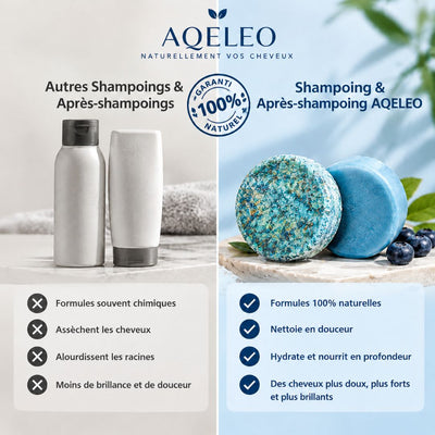 Ensemble shampoing et après-shampoing Solides à la Myrtille