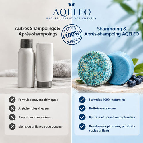 Ensemble shampoing et après-shampoing Solides à la Myrtille