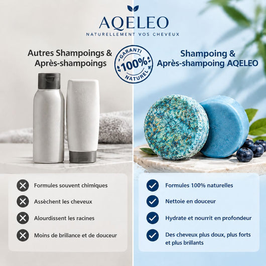 Ensemble shampoing et après-shampoing Solides à la Myrtille